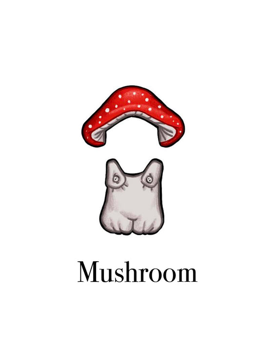 Magnet Outfit- Mushroom