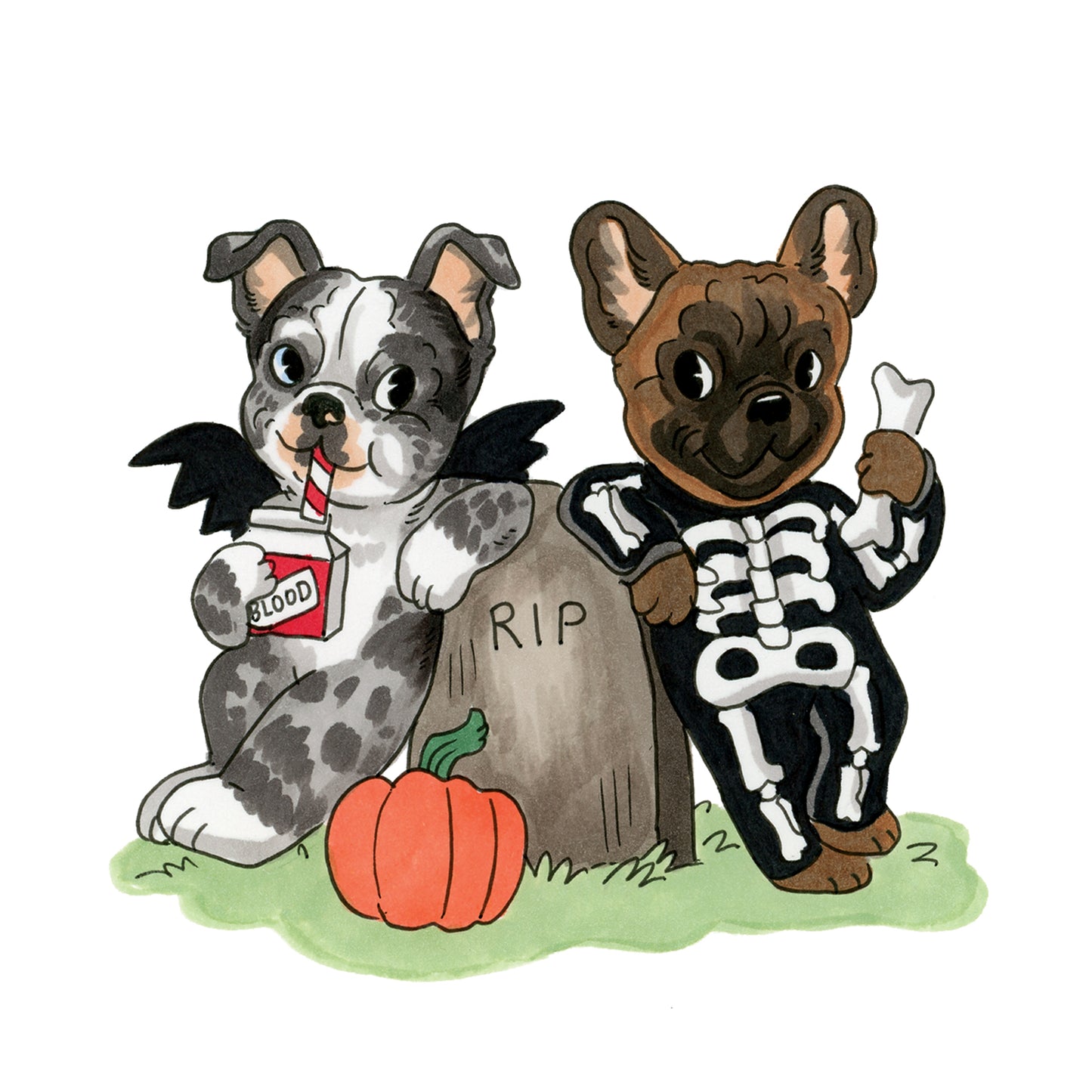 Halloween Pet Sketch